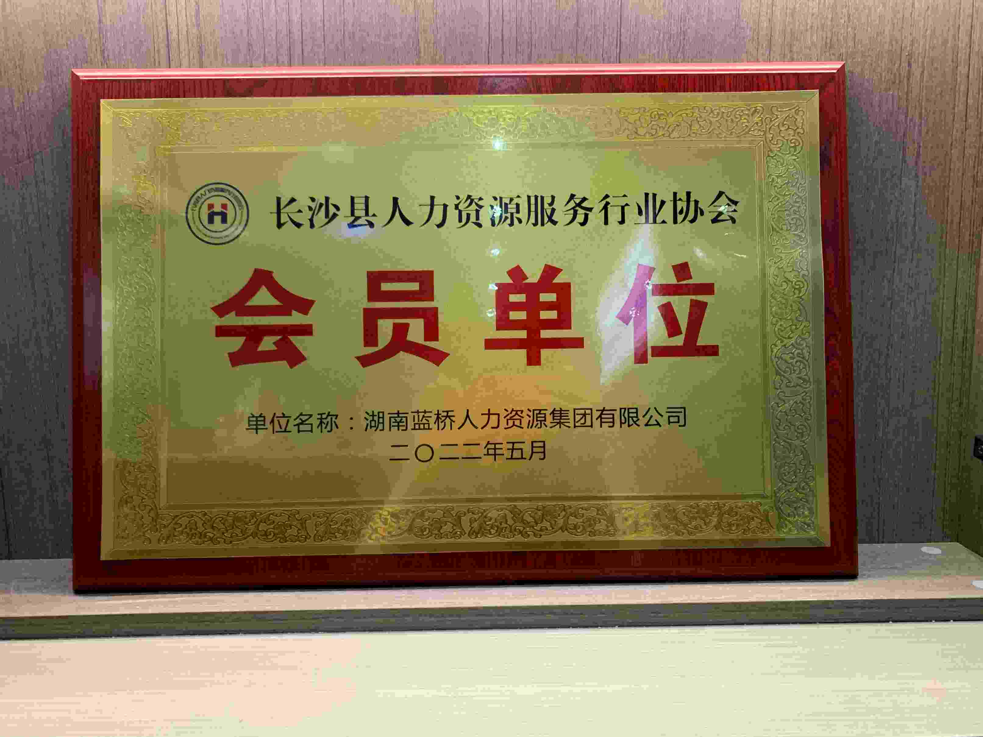 長沙縣人力資源服務(wù)行業(yè)協(xié)會(huì)副會(huì)長單位